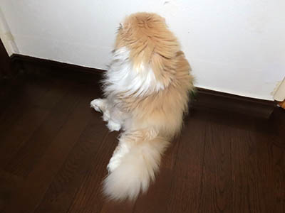 肢@[Ӓ@~[R