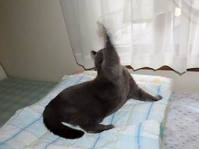 肢@[Ӓ@~[R