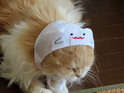 肢@[Ӓ@~[R