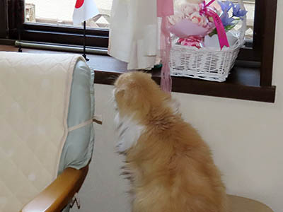 肢@[Ӓ@~[R