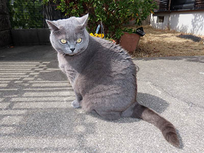 �肢�@���[���Ӓ�@�~�[�R