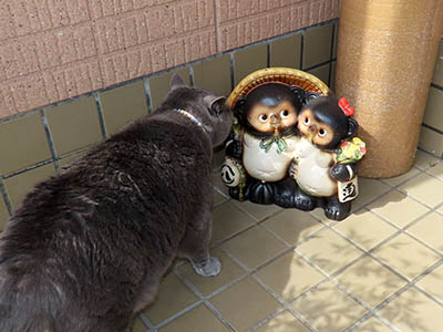 �肢�@���[���Ӓ�@�~�[�R